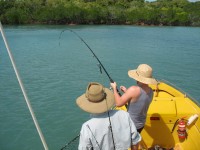 Cape York Peninsula Fishing