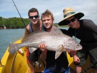 Cape York Peninsula Fishing