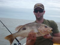 Cape York Peninsula Fishing