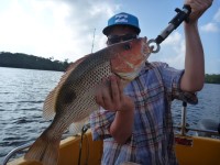 Cape York Peninsula Fishing