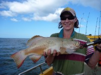 Cape York Peninsula Fishing