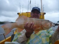 Cape York Peninsula Fishing