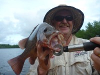 Cape York Peninsula Fishing
