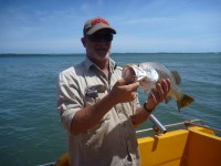 Cape York Peninsula Fishing