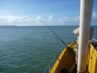 Cape York Peninsula Fishing