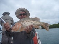 Cape York Peninsula Fishing