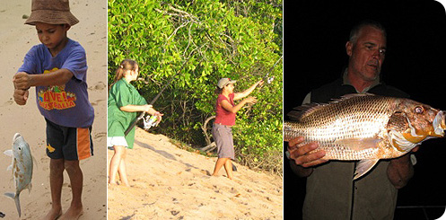 Cape Trib Peninsula Fishing